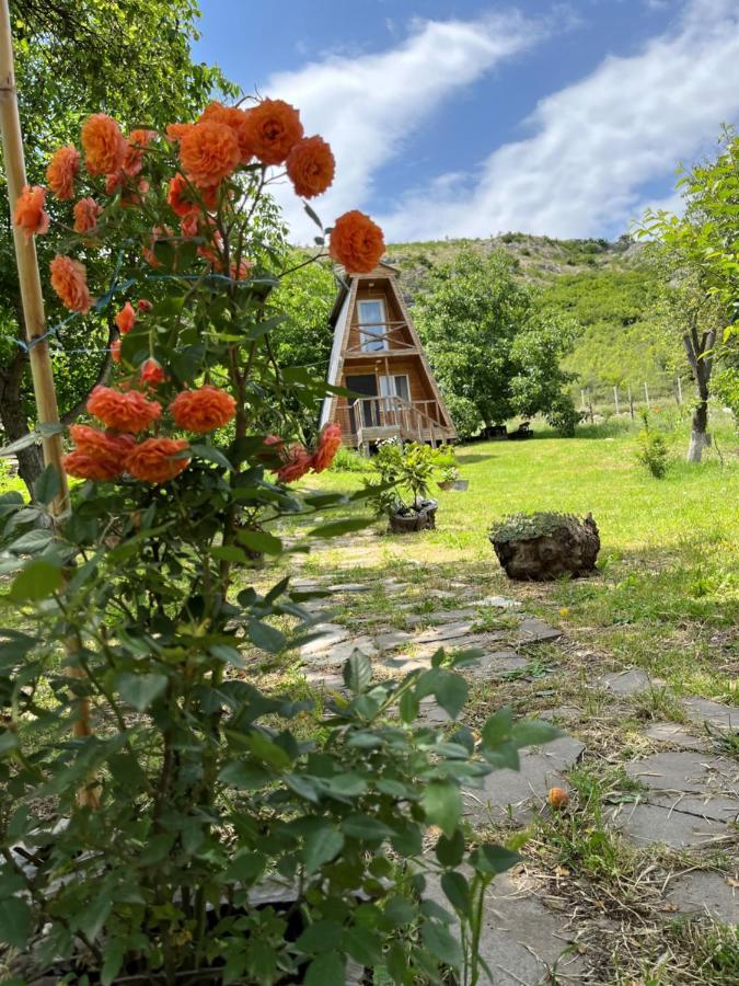 Teo's Cottages Dedoplis Tskaro Esterno foto