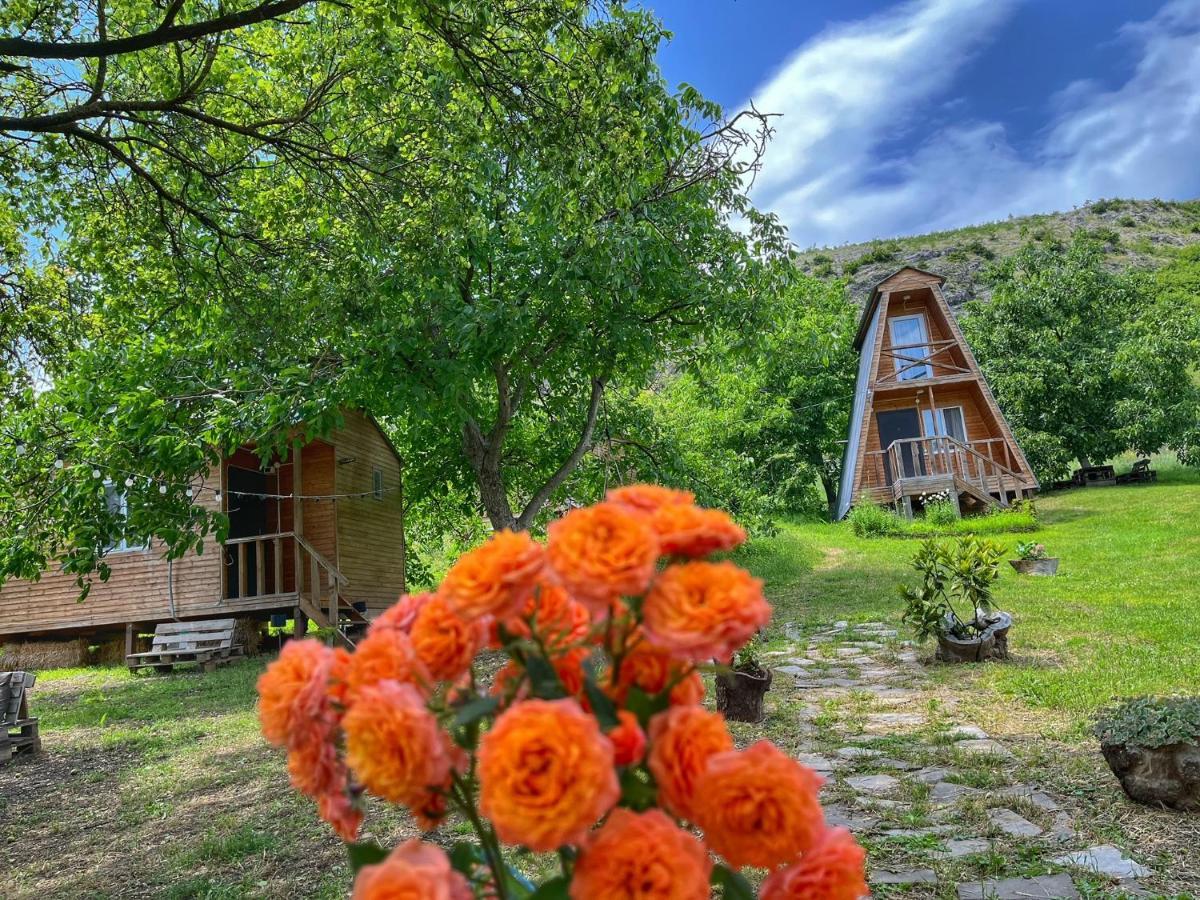 Teo's Cottages Dedoplis Tskaro Esterno foto