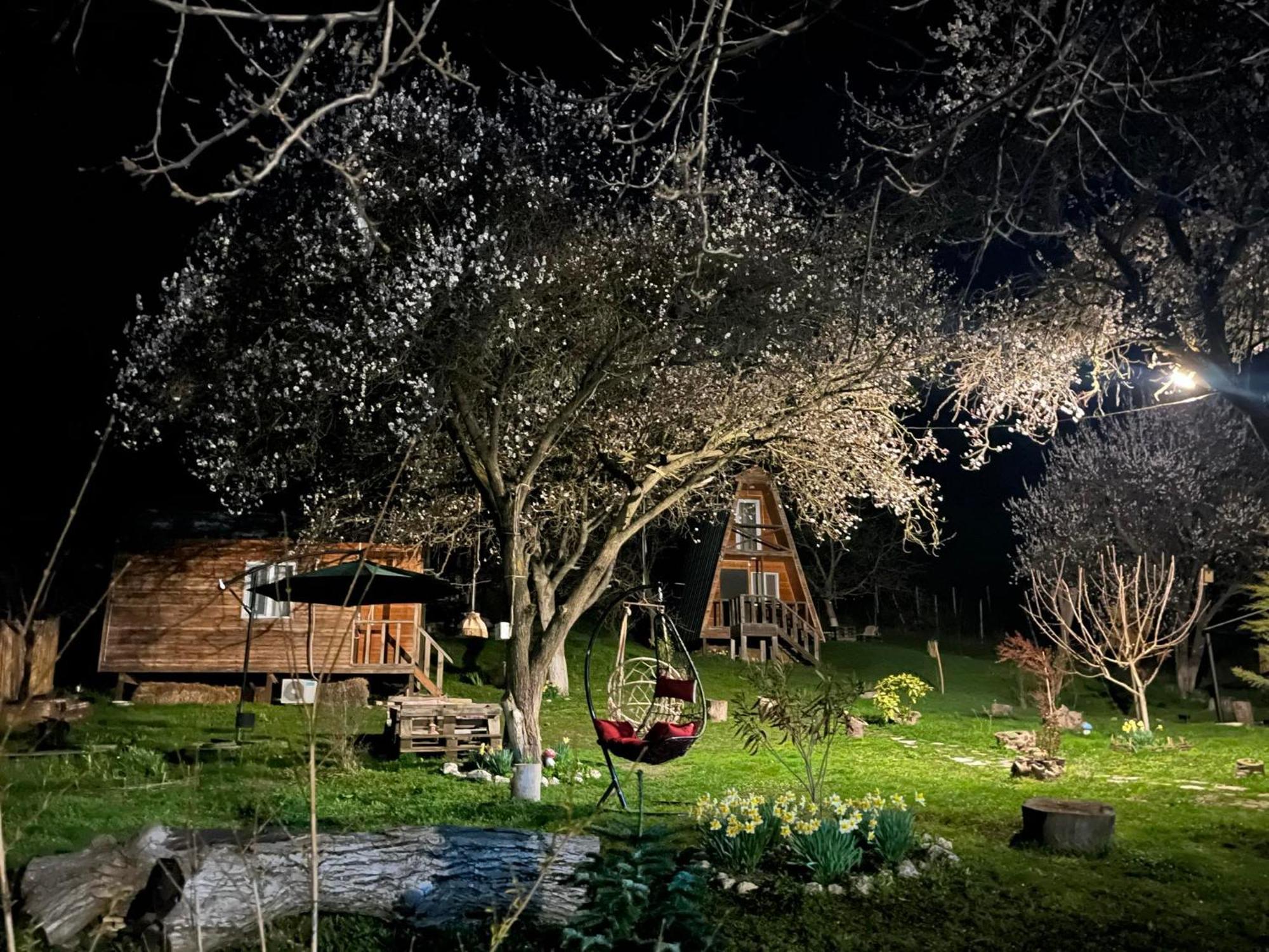 Teo's Cottages Dedoplis Tskaro Esterno foto