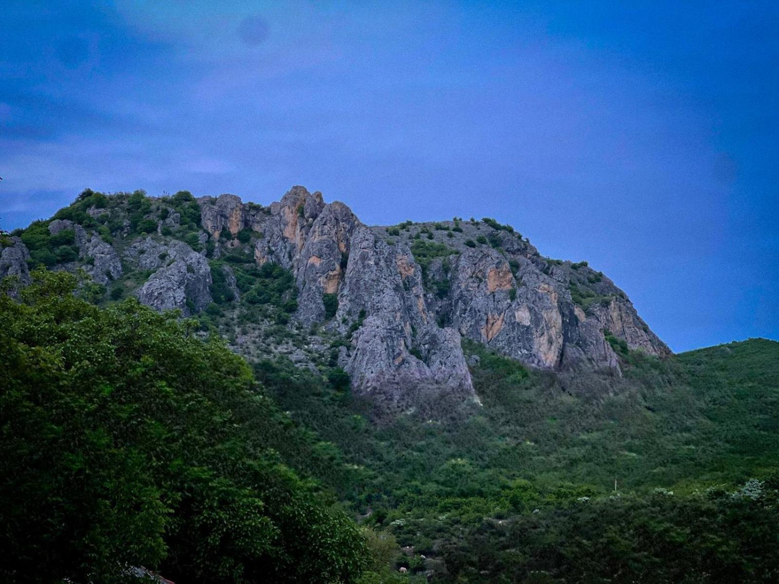 Teo's Cottages Dedoplis Tskaro Esterno foto
