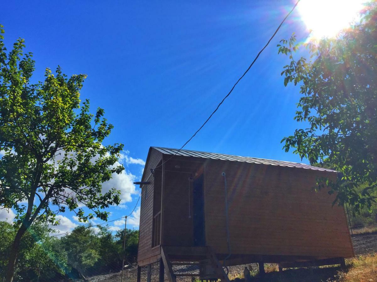 Teo's Cottages Dedoplis Tskaro Esterno foto